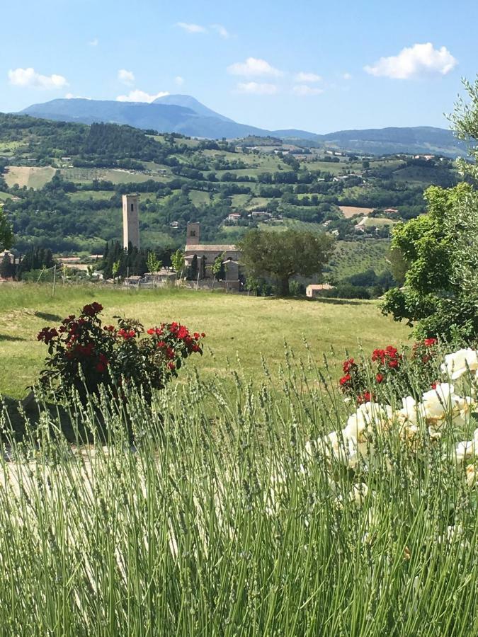 Al Castello Villa San Severino Marche Exterior photo